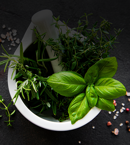 Herbes aromatiques